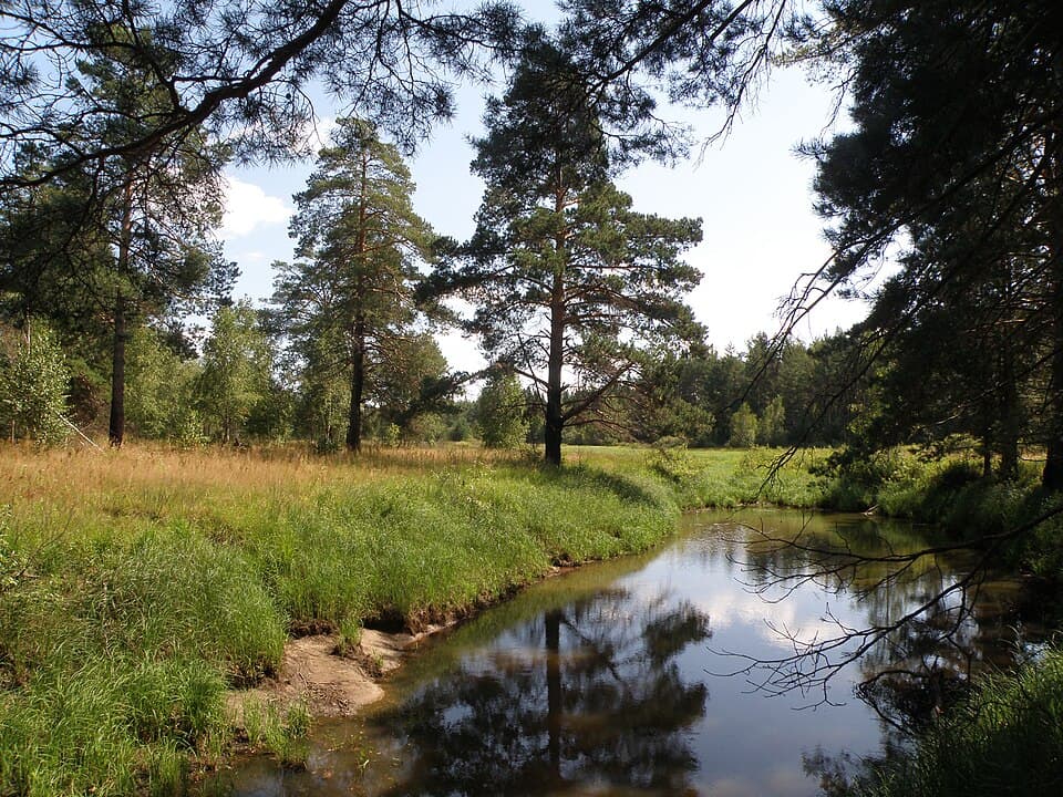 Что посмотреть во Владимирской области и национальный парк «Мещёра»