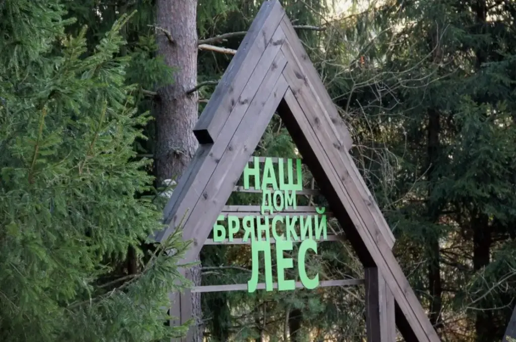 Природные достопримечательности — заповедник «Брянский лес» с первозданными лесами
