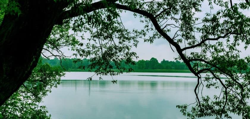 Достопримечательности Брянска — живописный вид на природную зону и водоём города