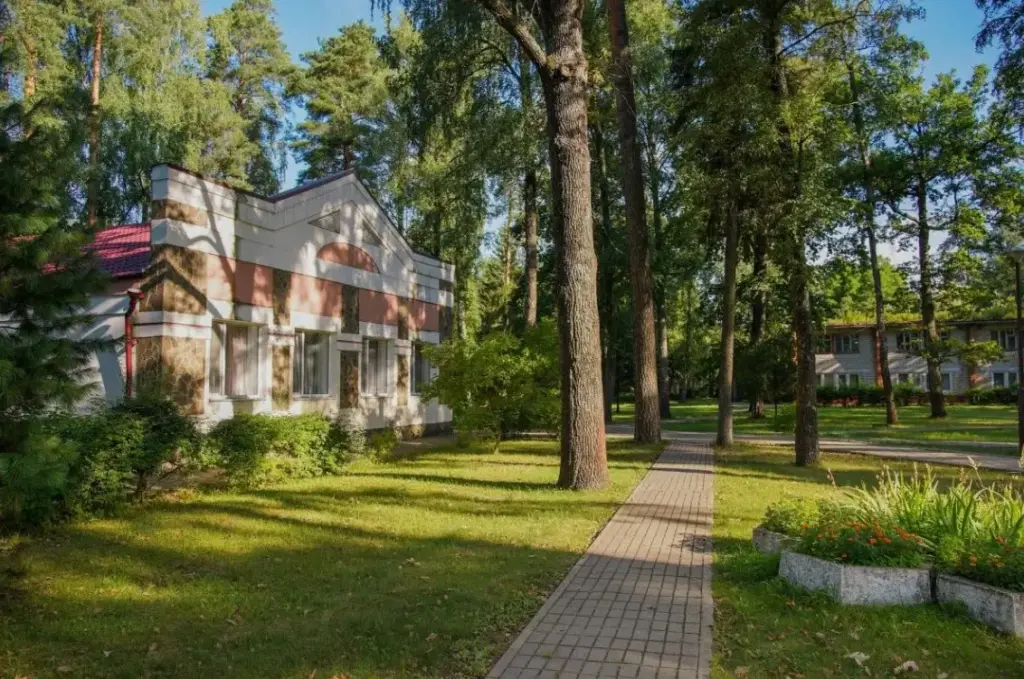 Лучшие санатории и отели — санаторий «Ателика Снежка» среди хвойных массивов