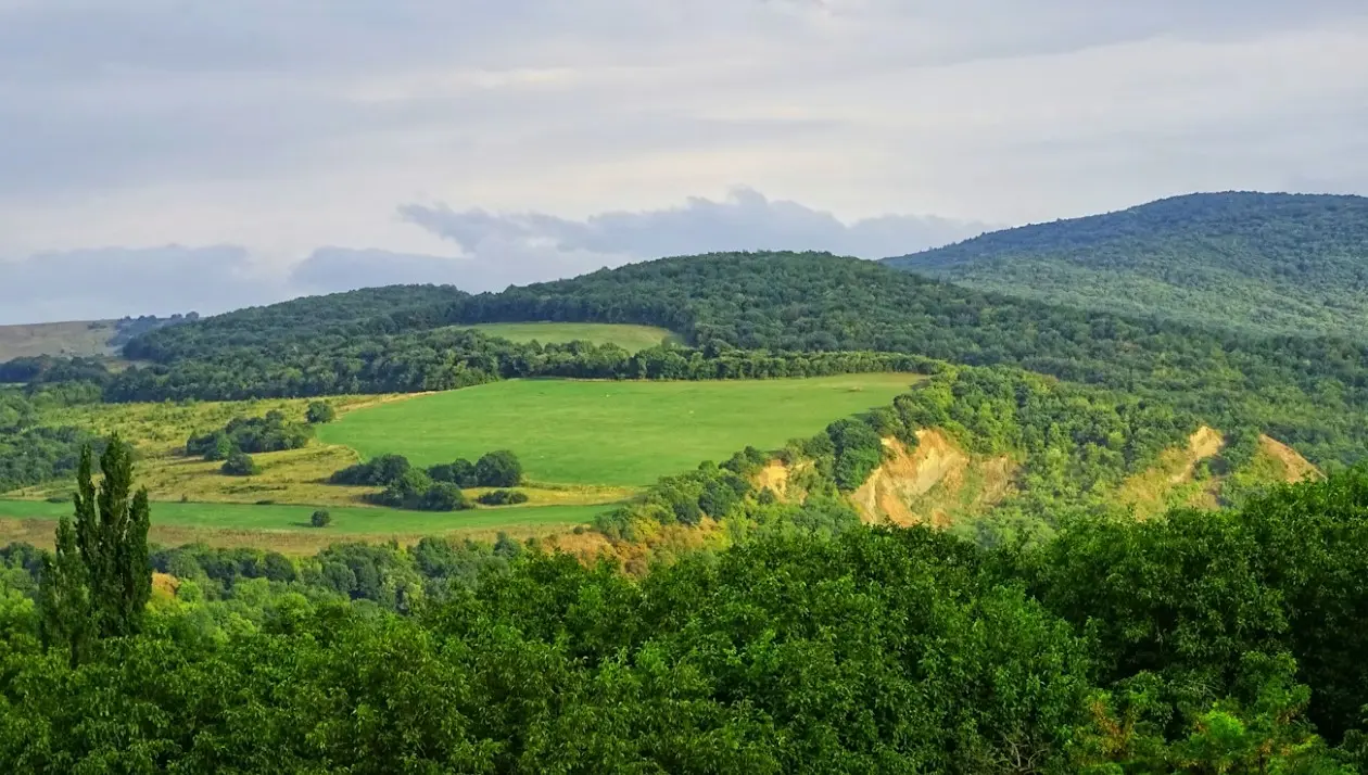 Достопримечательности Дагестана — зелёные холмы, леса и живописные горные пейзажи